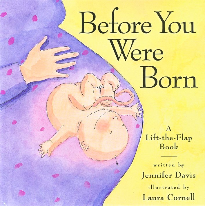 Before You Were Born Jennifer Davis Illustrated By Laura Cornell 9780761112006 Christianbook Com