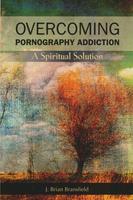 Porn Addict Slide Show - Overcoming Pornography Addiction: A Spiritual Solution: J. Brian  Bransfield: 9780809147977 - Christianbook.com