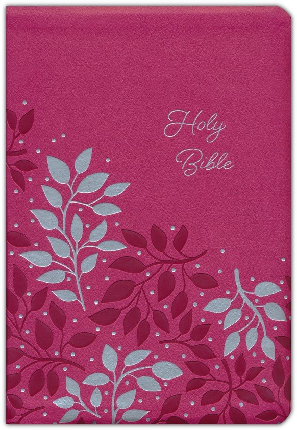 Illustrating Bible NIV Pink