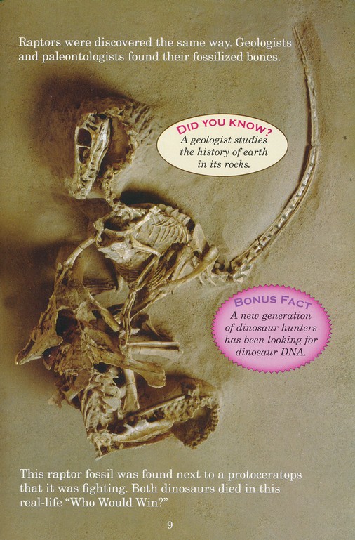 Who Would Win Tyrannosaurys Rex Vs Velociraptor Jerry Pallotta Illustrated By Rob Bolster Christianbook Com