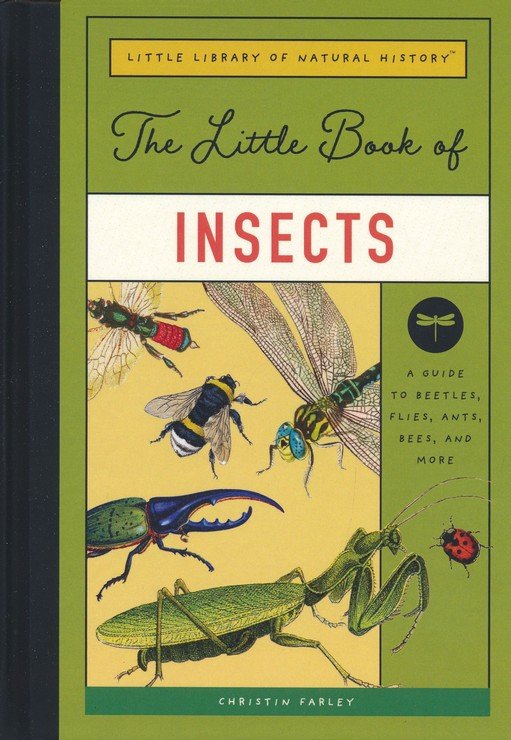 Little Stickers Bugs Book - Visit Brainerd