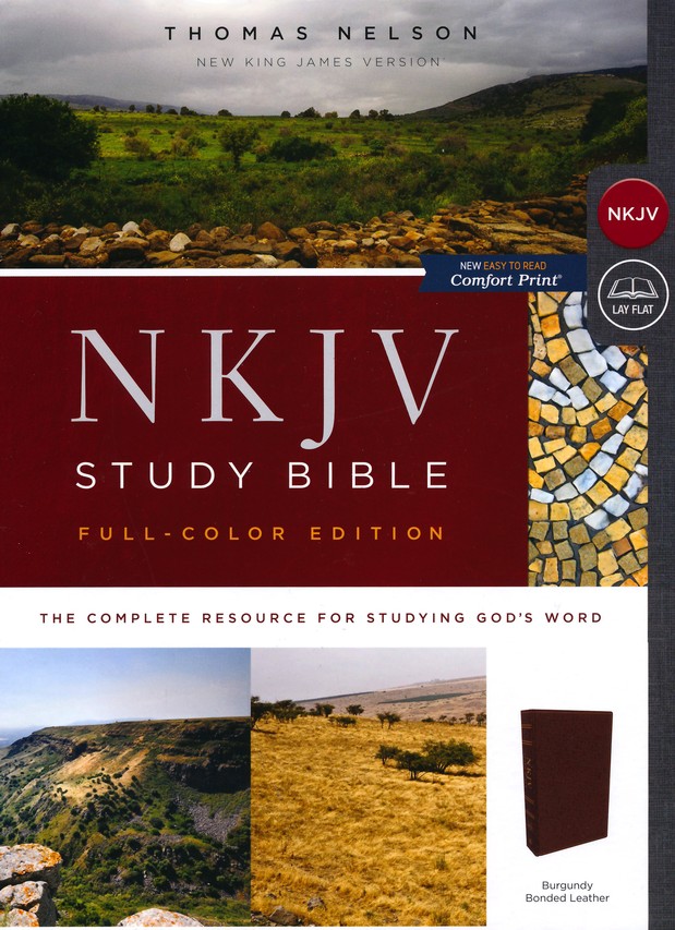 The Holy Bible: New King James Version (Burgundy)