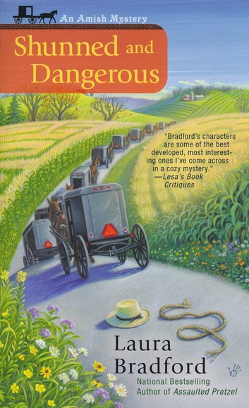 The Amish Village Mysteries