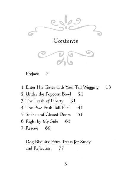 What My Golden Retriever Taught Me About God: Rhonda McRae: 9781596381636 