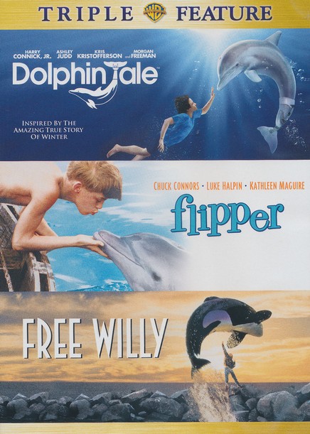 A DVD/VHS player with a dolphin screensaver (more information in