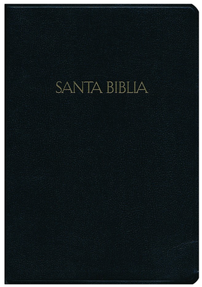 santa biblia reina valera 1960 download for destop