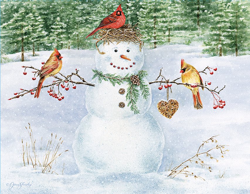 Happy Snowman Christmas Cards Box Of 18 Jane Shasky Christianbook Com