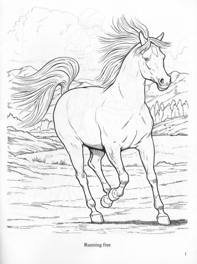 Download Wonderful World Of Horses Coloring Book John Green 9780486444659 Christianbook Com