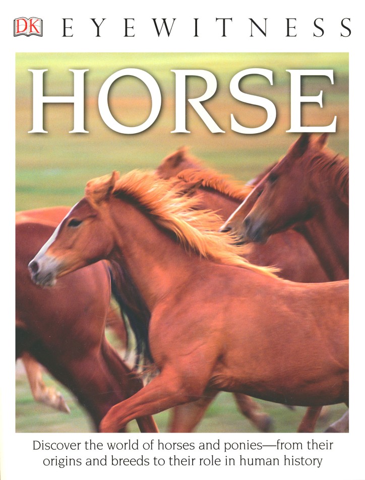 Horse Coloring Books for Girls Ages 8-12: Magical World of Horses