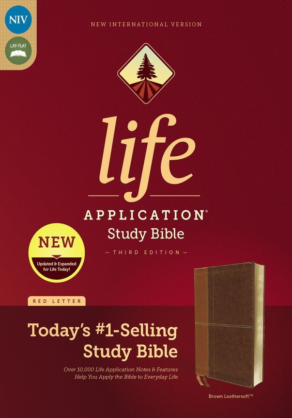 Bible Study Supplies - True and Lovely Co.