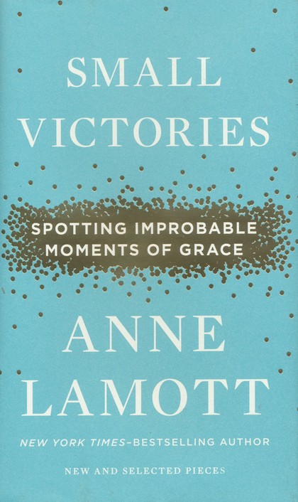 Front Cover Preview Image - 1 of 12 - Small Victories: Spotting Improbable Moments of Grace
