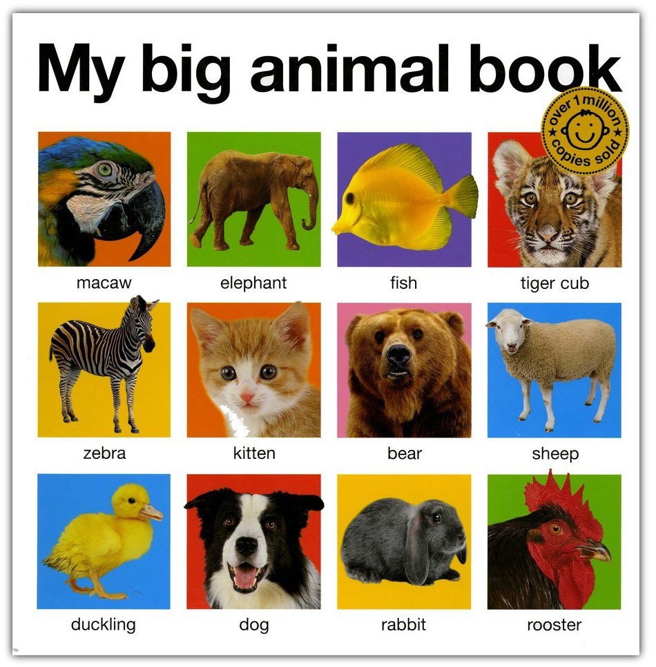 My Big Animal Book, Updated: Roger Priddy: 9780312511074 