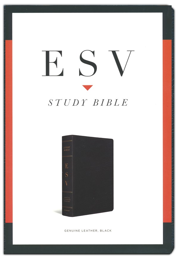 best esv bible study
