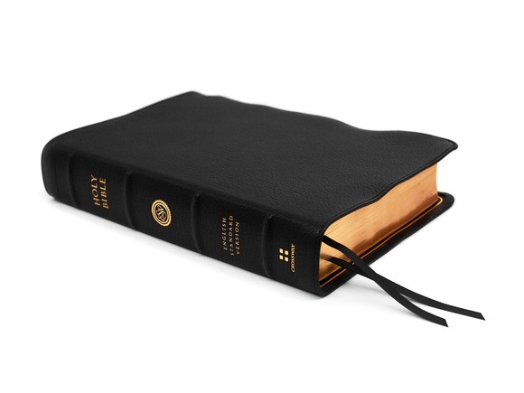 leather esv bible