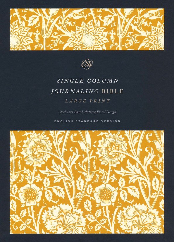 ESV Single Column Journaling Bible, Large Print (Trutone, Burgundy/Red, Timeless Design) [Book]