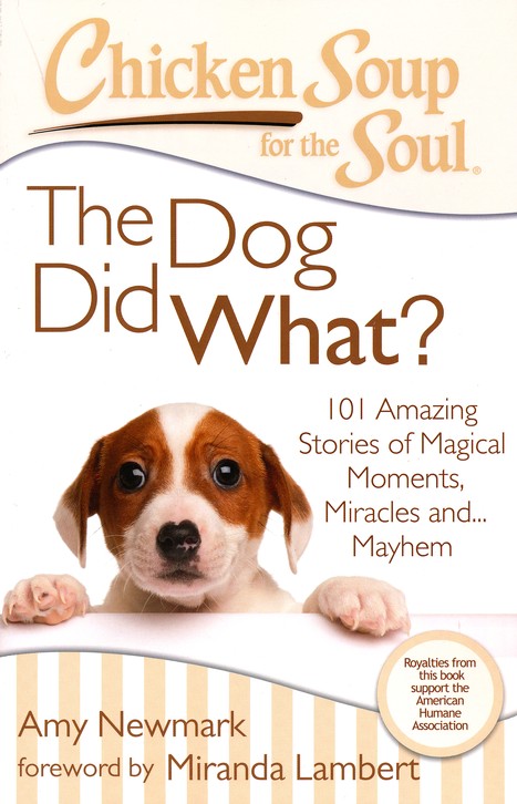 Chicken Soup for the Soul: The Magic of by Newmark, Amy