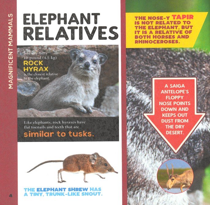 Pack animal Facts for Kids