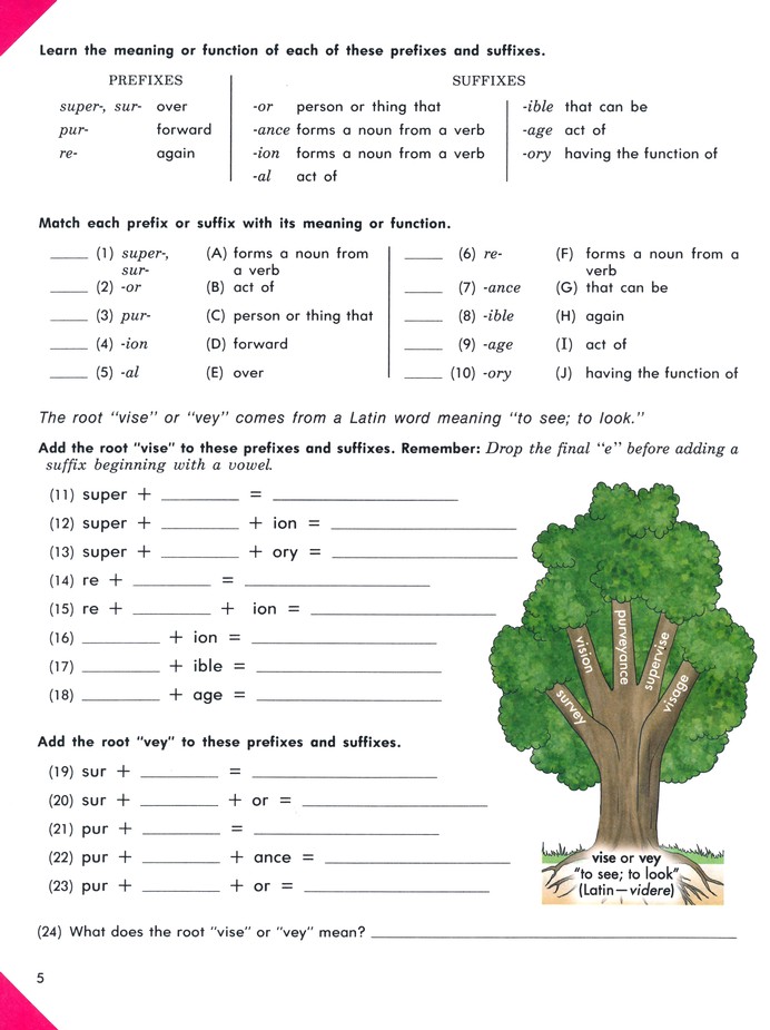 Etymology Pace 1107 Grade 9 4th Edition Christianbook Com