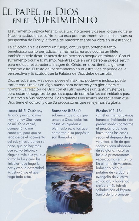 Que Sentido Tiene El Sufrimiento Folleto Making Sense Of Suffering Pamphlet Joni Eareckson Tada 9781433677618 Christianbook Com