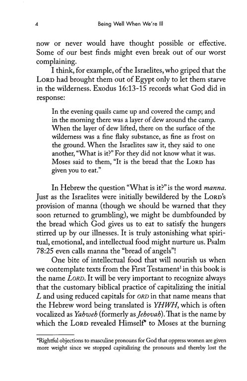 Excerpt Preview Image - 6 of 7 - Being Well When We're Ill: Wholeness and Hope in Spite of Infirmity