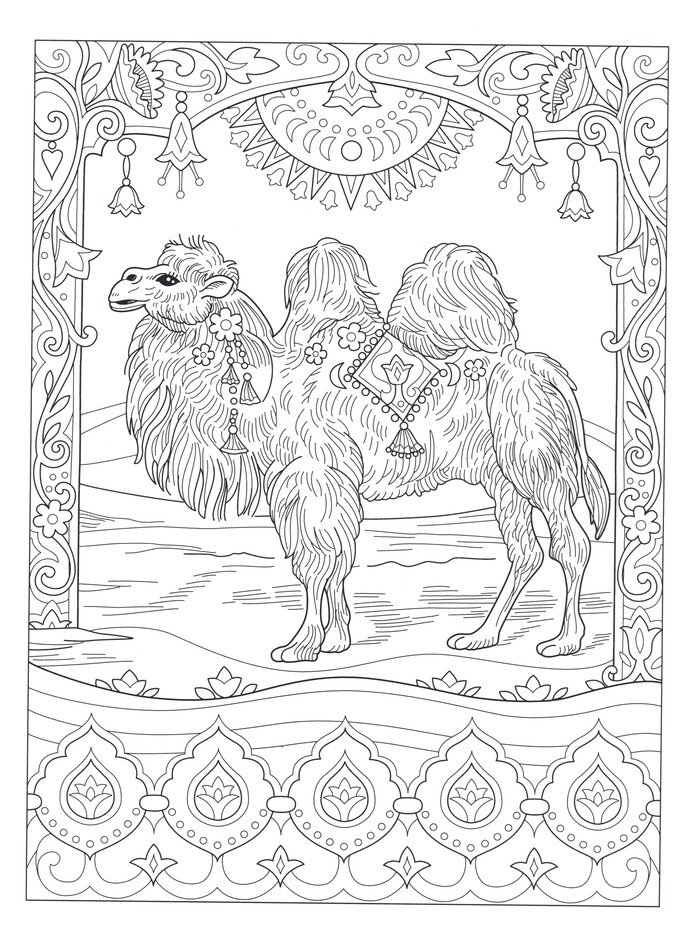 Download Wondrous Wildlife Coloring Book Marjorie Sarnat 9780486845425 Christianbook Com