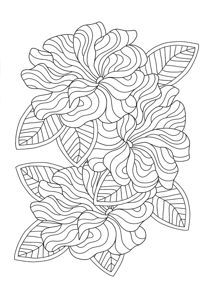 Download Adult Coloring Book Amazing Floral Designs Kathy G Ahrens 9781944686819 Christianbook Com