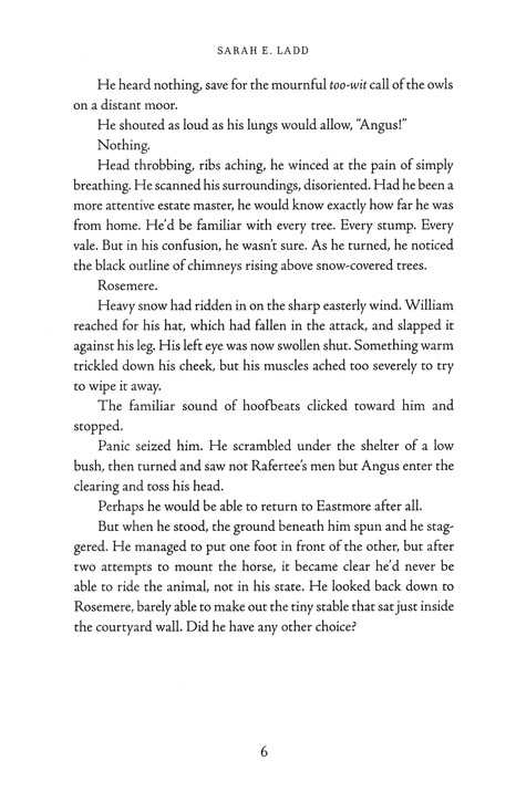 Excerpt Preview Image - 7 of 8 - The Headmistress of Rosemere, Whispers on the Moors Series #2