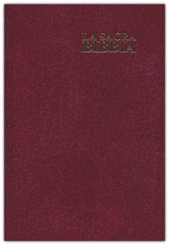 Italian Bible Nuova Diodati [Similar to NKJV],Ã‚Â Large Print:  9783037712412 