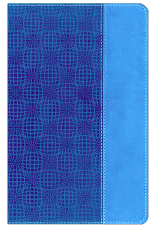Front Cover Preview Image - 2 of 11 - NIV Adventure Bible, Italian Duo-Tone, Electric blue/Ocean blue