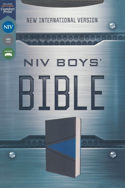 NIV Illustrating Bible, Gray