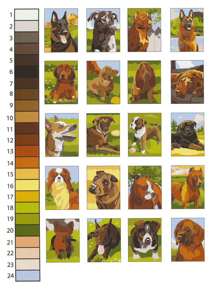 Download Dogs Color By Number Coloring Book Diego Pereira 9780486804477 Christianbook Com