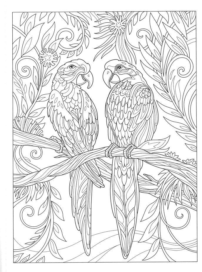 Download Birds And Blossoms Coloring Book Marjorie Sarnat 9780486832340 Christianbook Com