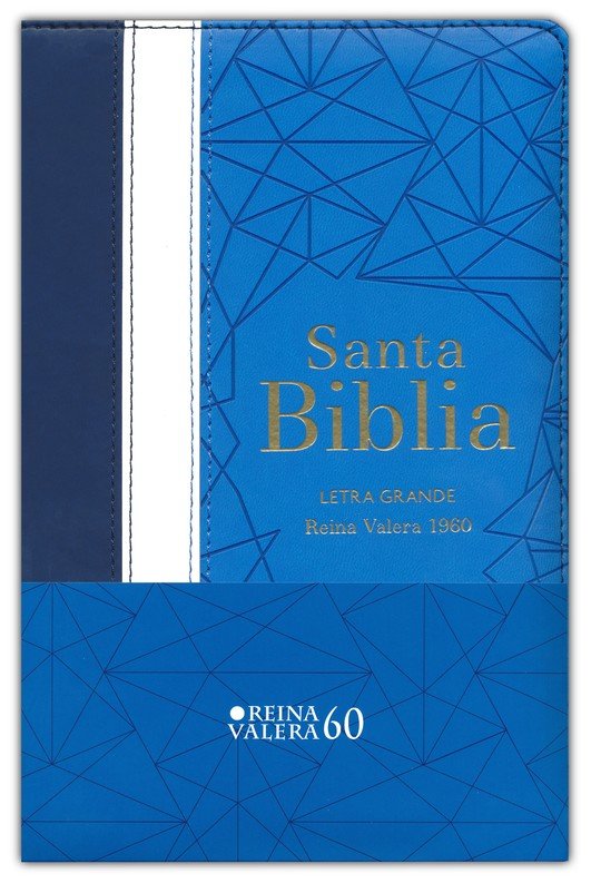 BIBLIA LETRA GRANDE TAMAÑO MANUAL REINA VALERA 1960 CON INDICE