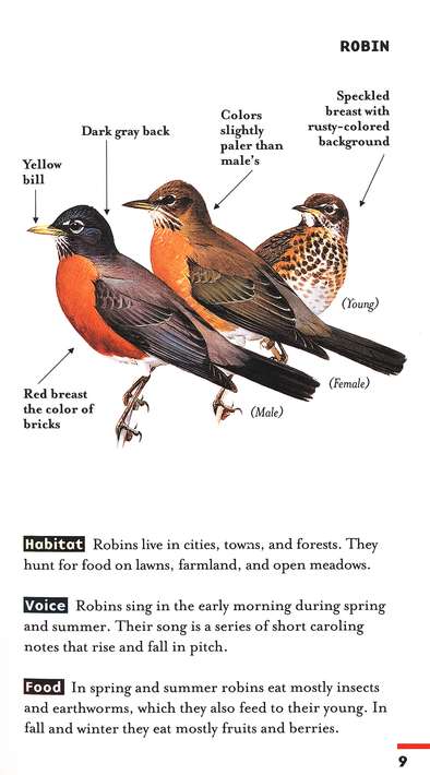 Feeder Birds of Eastern North America (Peterson Field Guide®)