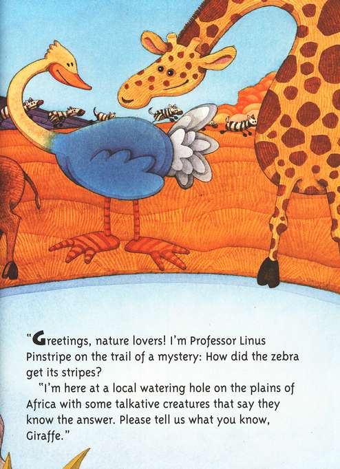 So This Is How They Do It! Zebras Getting Stripes : Krulwich Wonders :  NPR