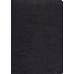 ESV Study Bible--Genuine leather, black