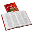 NRSV Popular Text Anglicized Bible, Hardcover, red
