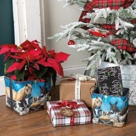 Nativity Set of 2 Plant / Gift Holders