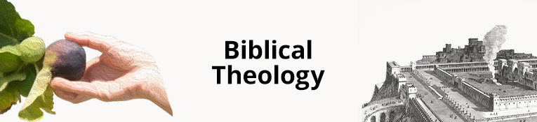 Biblical Theology