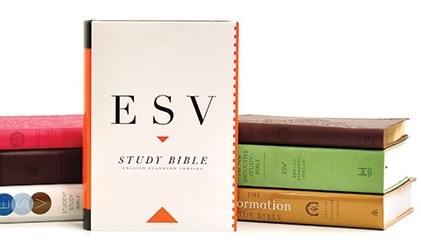 More English Standard Version Bibles