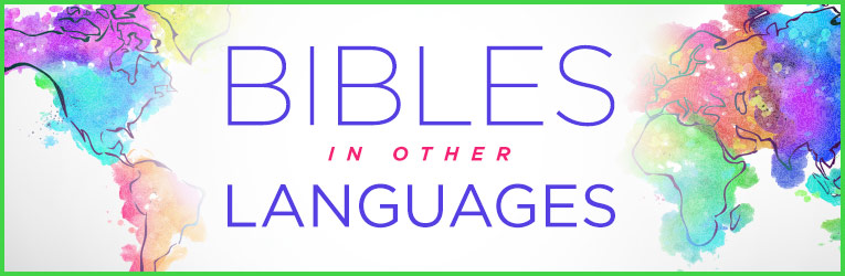 Bibles in Other Languages