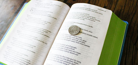 NIrV Giant Print Compact Bible Text