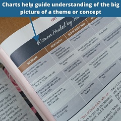 NIV The Woman's Study Bible - Charts help guide the understanding of the big picture of a theme or concept