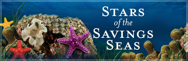 Stars of the Savings Seas