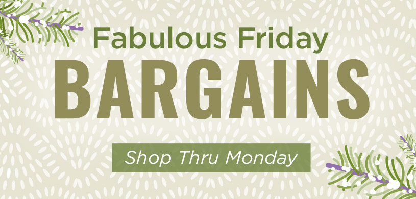 Fabulous Friday Bargains Shop Thru Monday