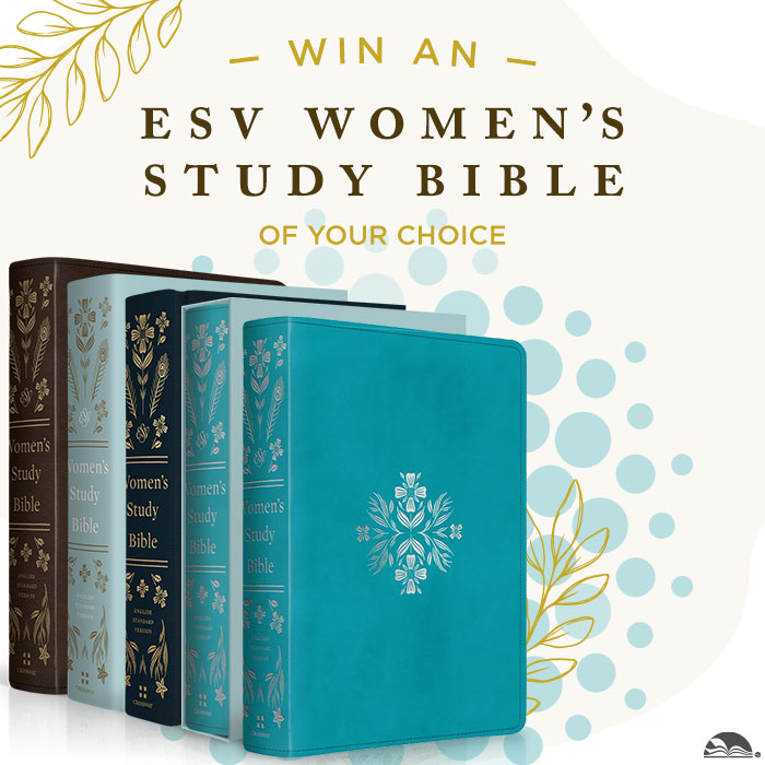 best esv bible study