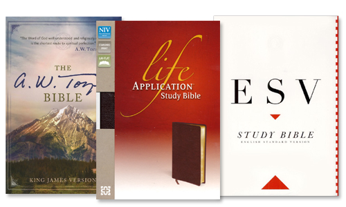 Bibles, Bible Reference, Bible Guides