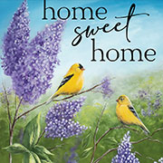 Goldfinch, Home Sweet Home