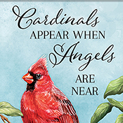 Cardinals Appear
