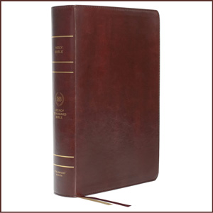 Legacy Standard Bible: Large Print